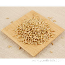 Oats Rice Wheat